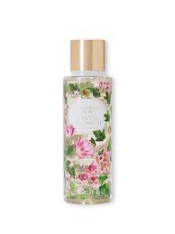 Victorias Secret Santal Blossom
