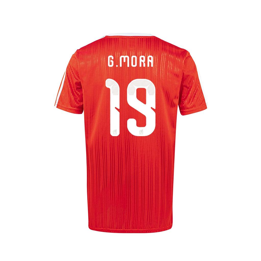 Jersey Deportivo Profesional Transpirable