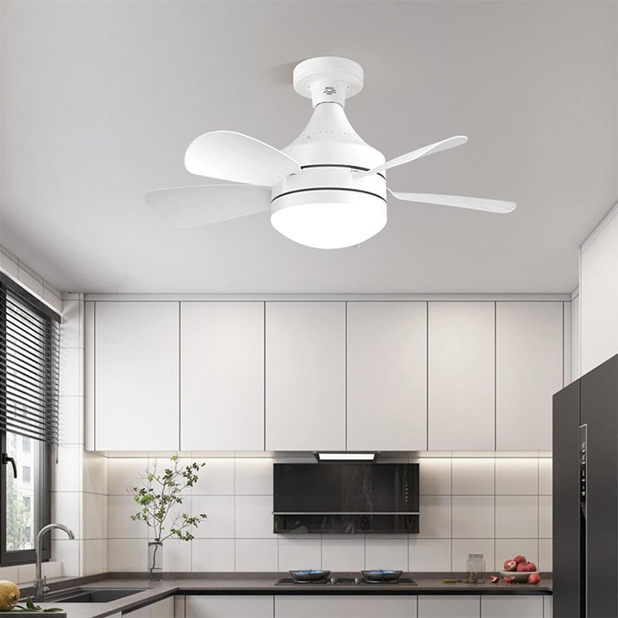 LERFM Con ventilador de techo