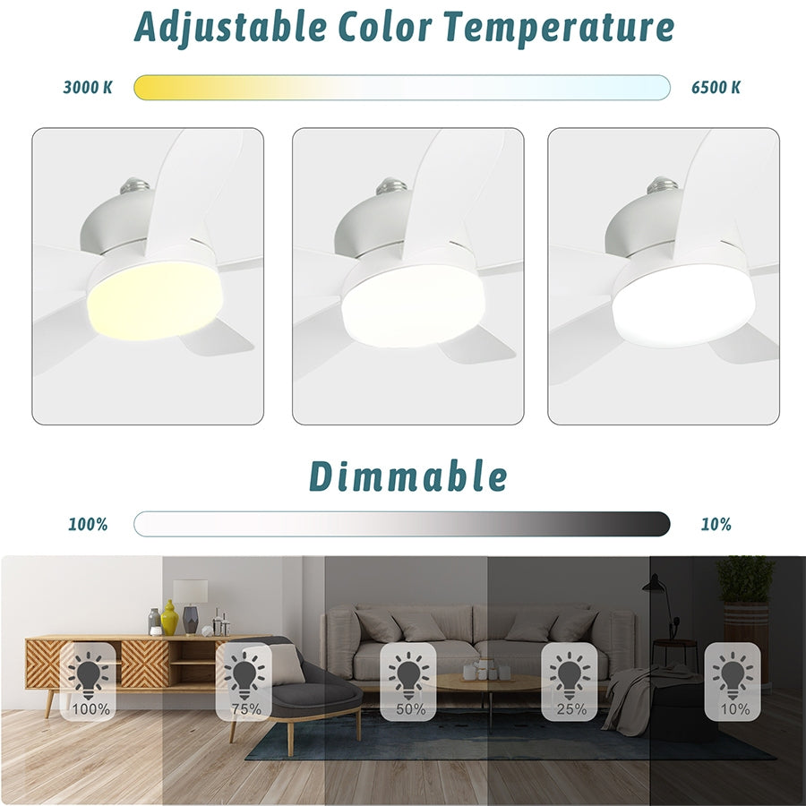 LERFM Con ventilador de techo