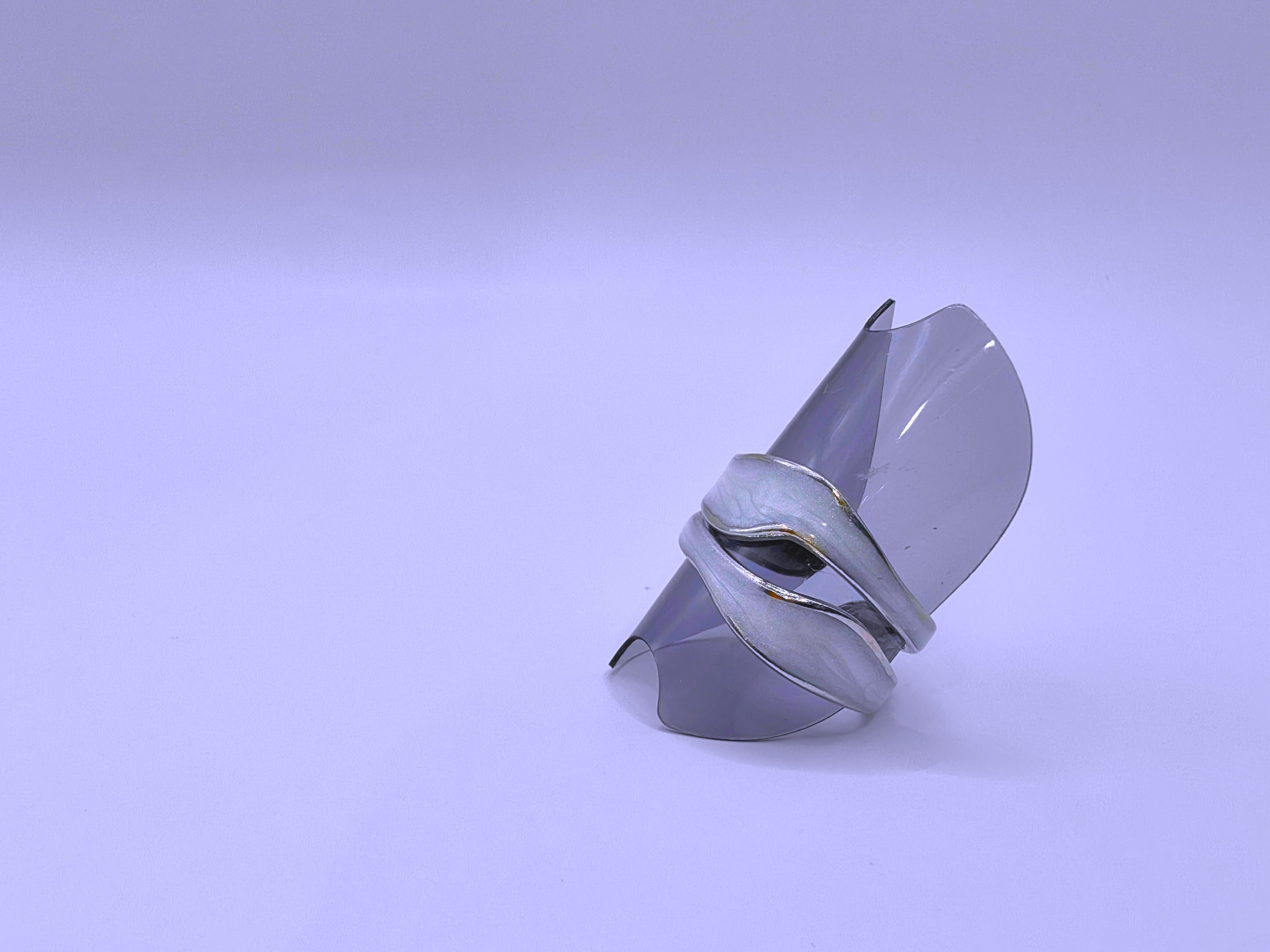 RB0006-10 Anillo Acero Inoxidable Epoxica Chapa Oro 10k Calenbi