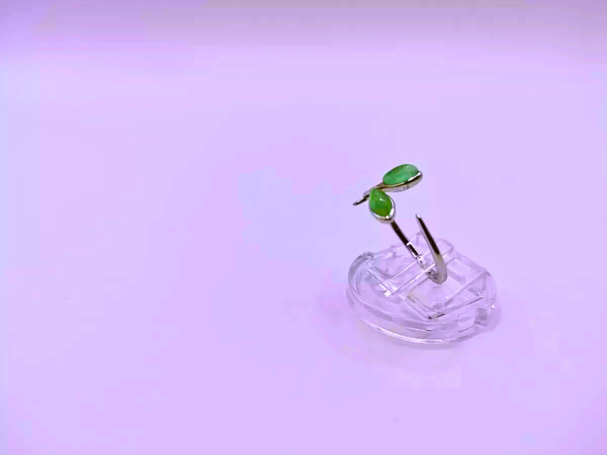 SR0003 - Anillo S925 Ley "Retoño Planta" Circonita Imitación Jade Ajustable Calenbi