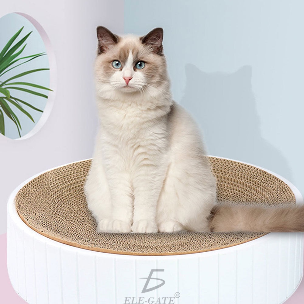 Tablero Circular rascador para Gatos