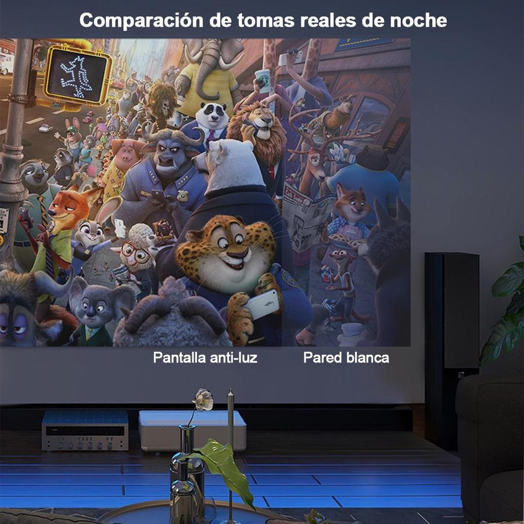 Projector Screen 100 inch