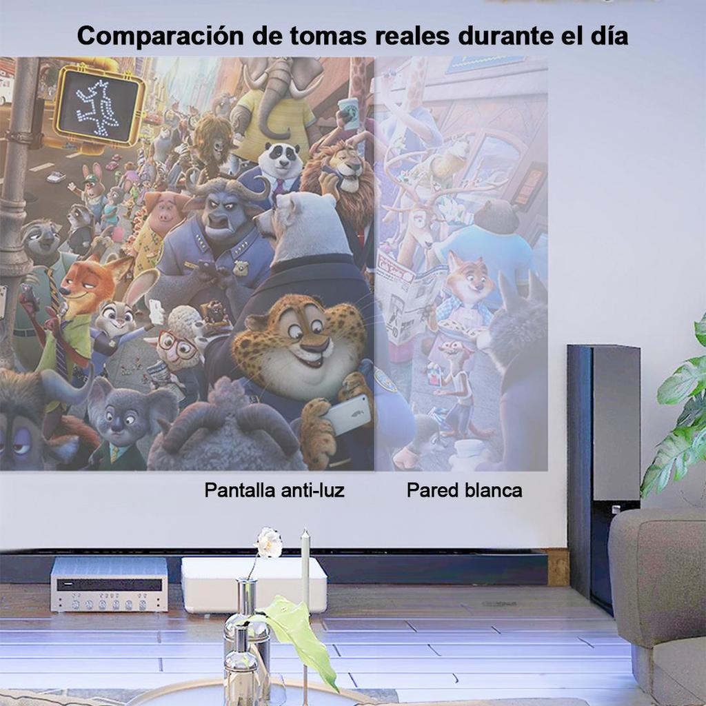 Projector Screen 100 inch