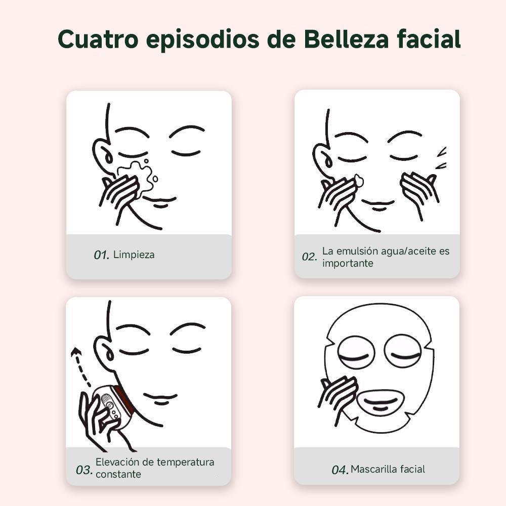Electric Facial Massager